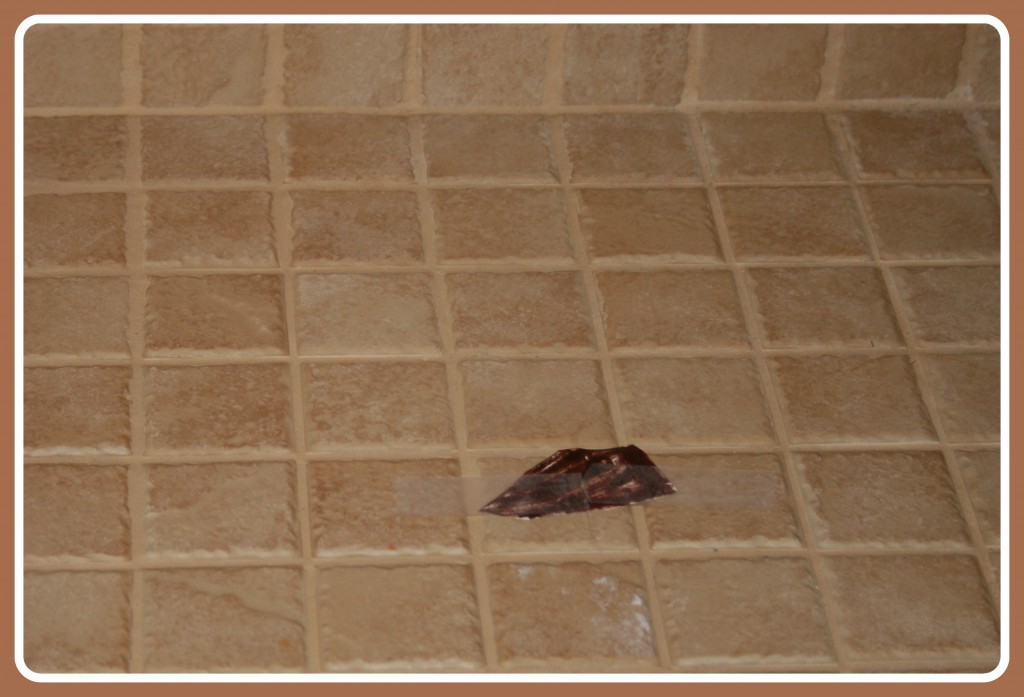 april fools pranks poop in shower