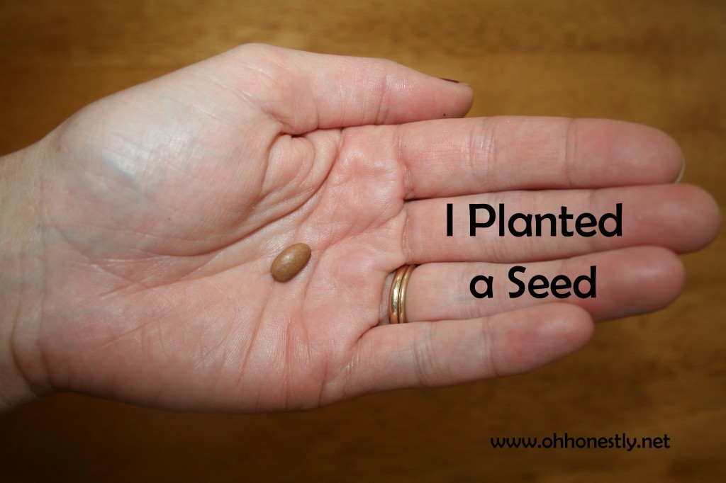 One Small Seed