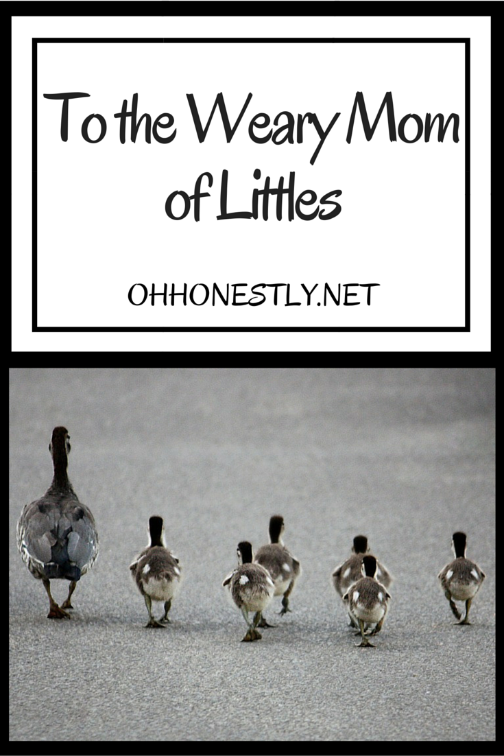 To the Weary Mom of Littles