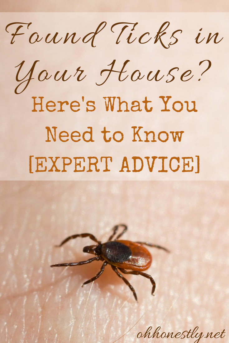 If you found ticks in your house, you probably have a thousand scary questions running through your head. Get answers from an expert here.