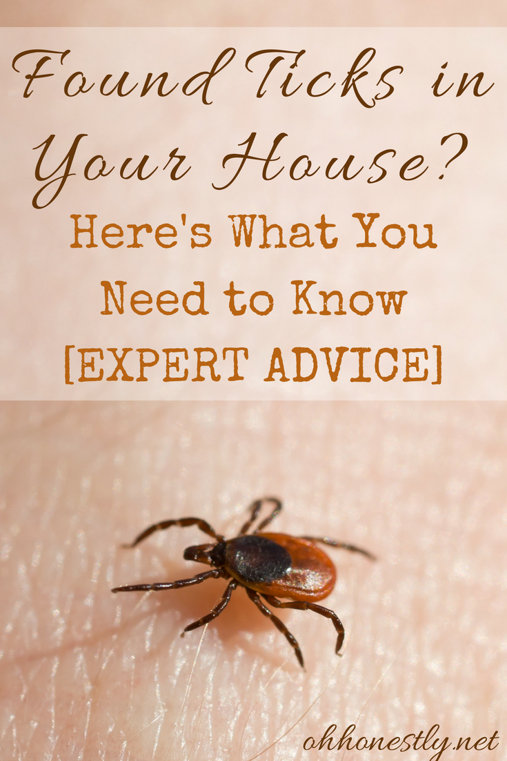 How Long Can Ticks Live In Your Home at Jenna Tipton blog